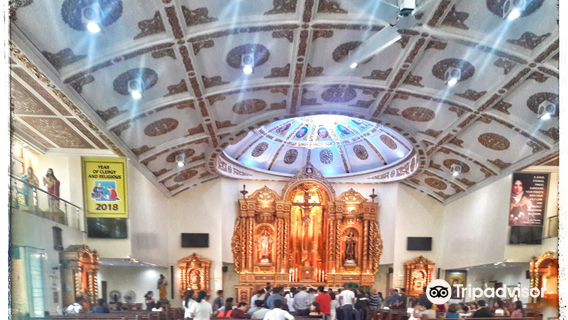 Diocesan Shrine and Parish of St. Therese of the Child Jesus