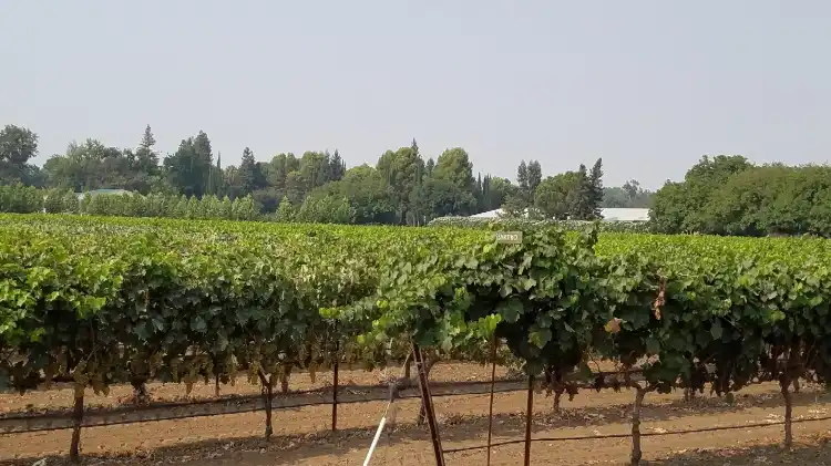 Hotel di Vina