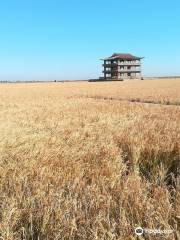 Shuangtai Estuary Nature Reserve