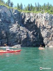 Seascape Kayaking