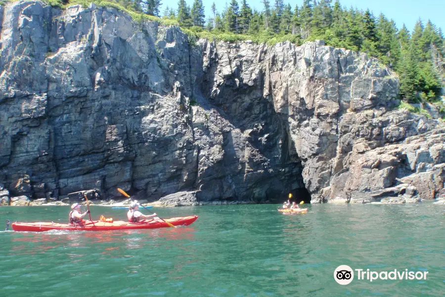 Seascape Kayaking