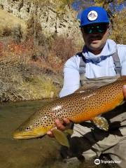 Simply Fly Fishing