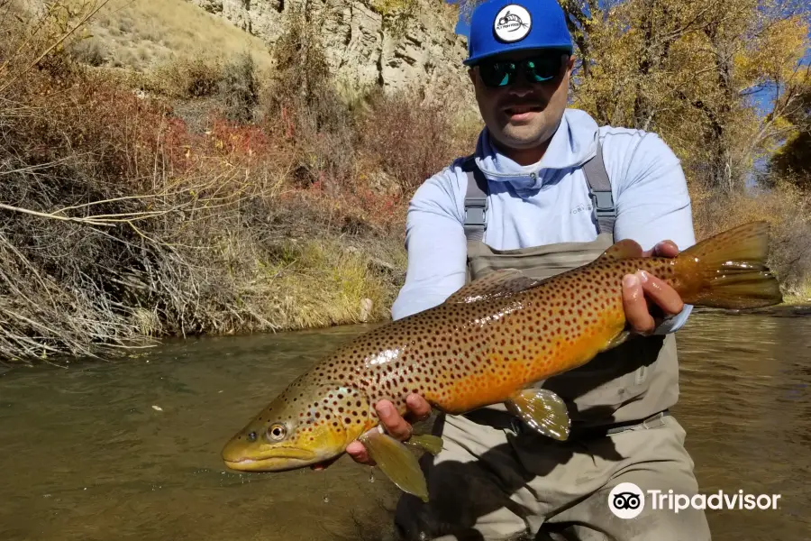 Simply Fly Fishing