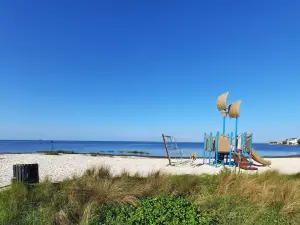Shell Point Beach