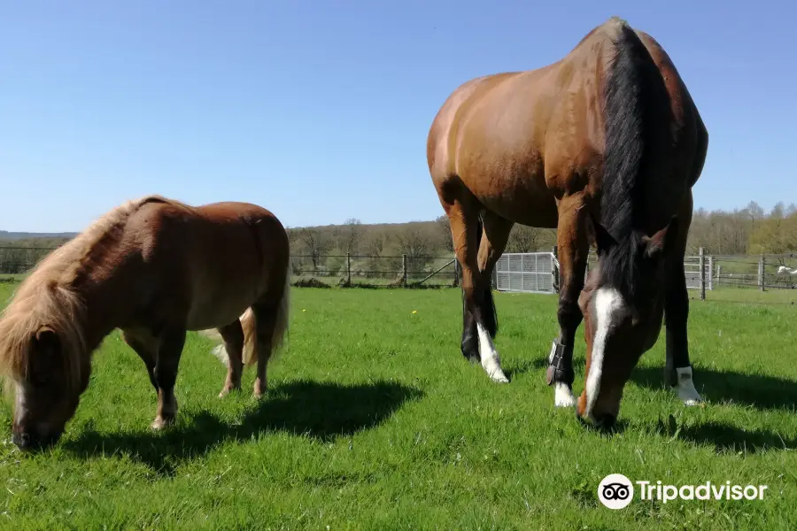 Le Paradis de la Charnie