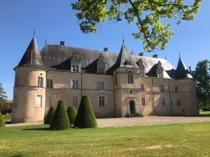 Château de Fléville