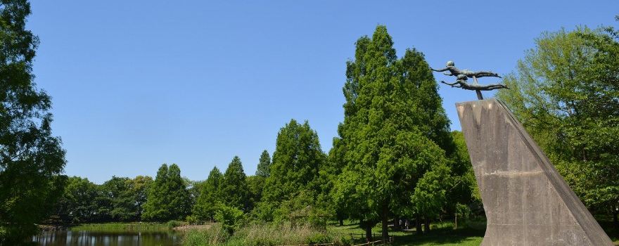 Matsubushi Park