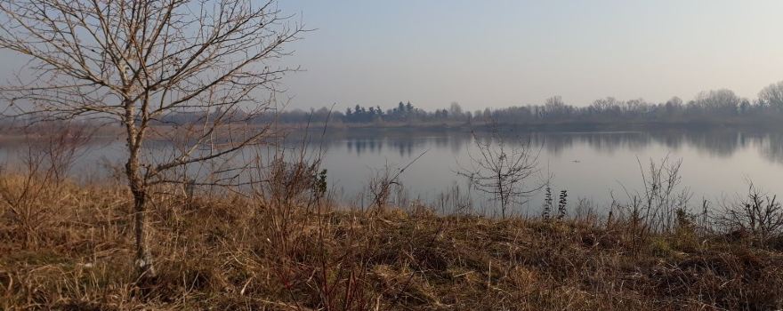 Oasi Naturalistica della Martesana