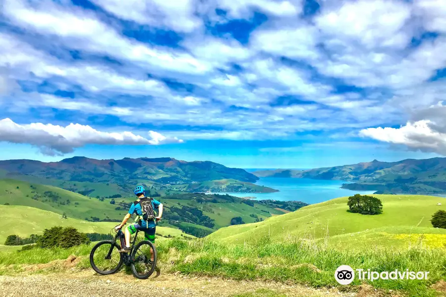 Akaroa Ebike Safaris