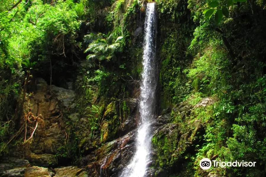 Ninotaki Waterfall