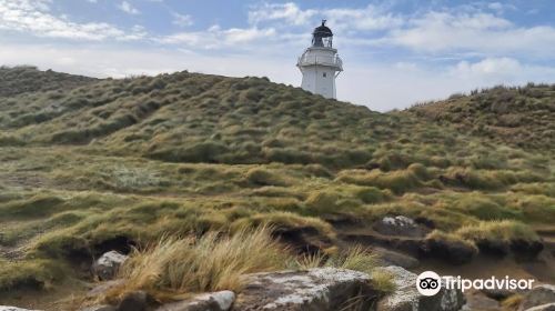 Waipapā Point Lighthouse