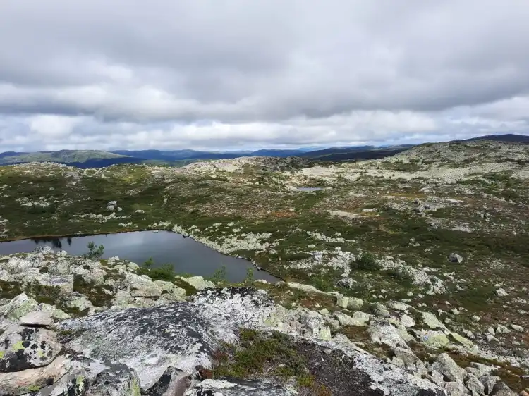 Hotels in Hovden