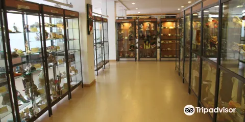 Museo Del Calzado