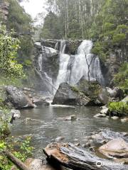 Steavenson Falls