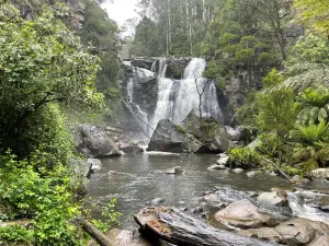 Steavenson Falls