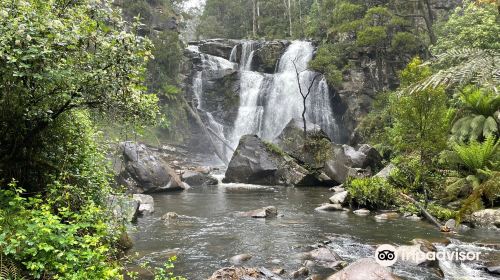 Steavenson Falls