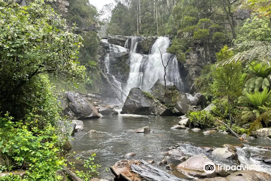 Steavenson Falls