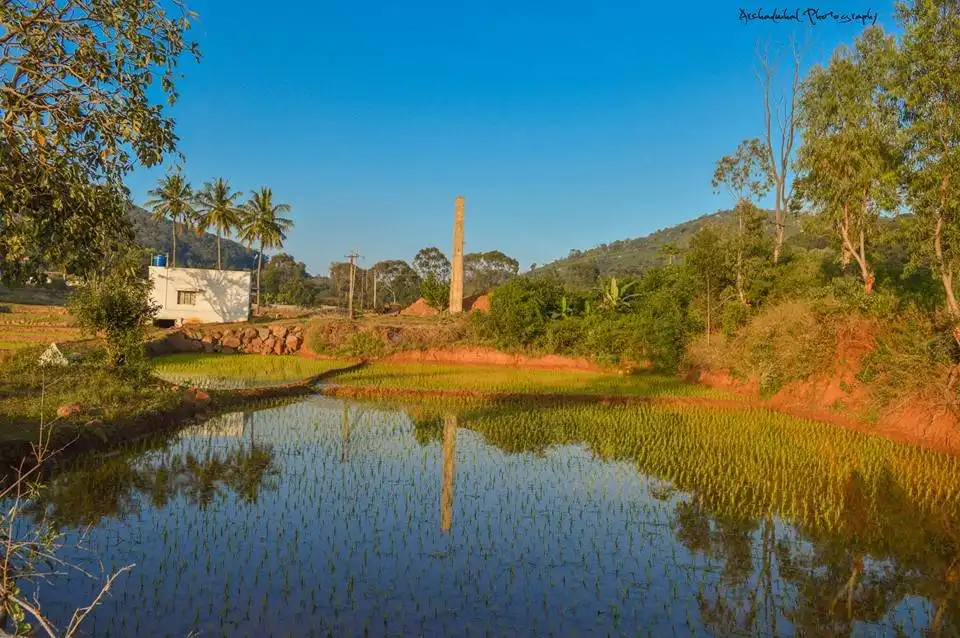Hotels near Nilavoor Lake