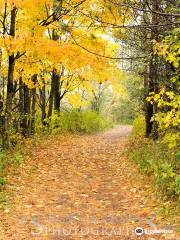 Lime Hollow Nature Center