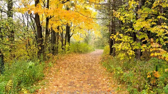 Lime Hollow Nature Center