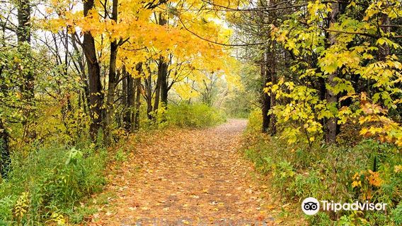 Lime Hollow Nature Center