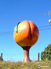 The Peachoid