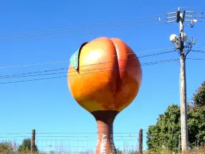 The Peachoid