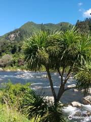 Karangahake Gorge Historic Walkway