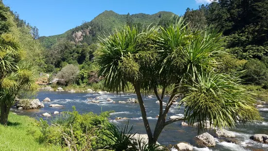 Karangahake Gorge Historic Walkway