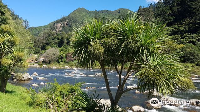 Karangahake Gorge Historic Walkway
