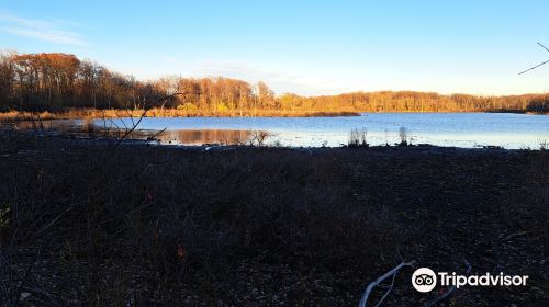 Westminster Ponds/Pond Mills Conservation Area