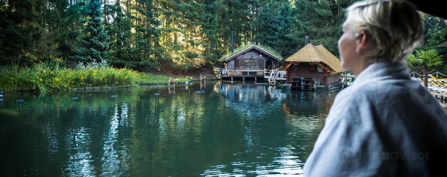 Sauna Drome Putten