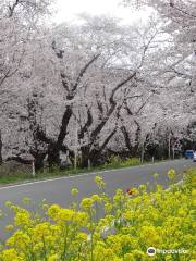 Kitamoto Nature Observation Park