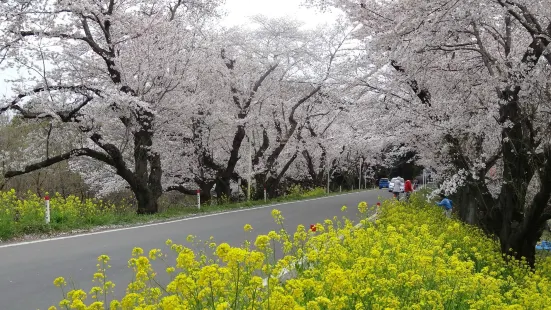 Kitamoto Nature Observation Park