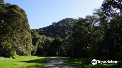 Trotters Gorge Scenic Reserve