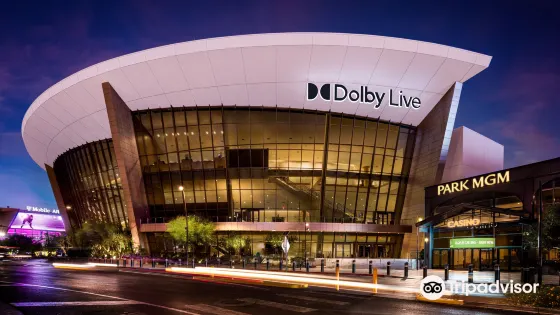 Dolby Live