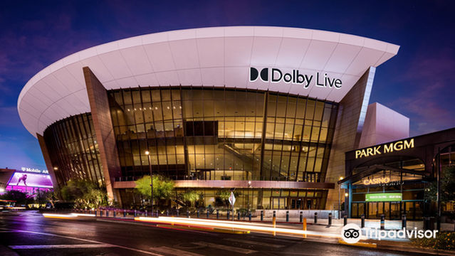 Dolby Live