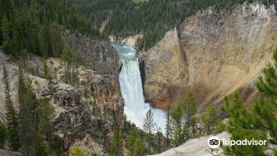 Upper Falls of the Yellowstone River