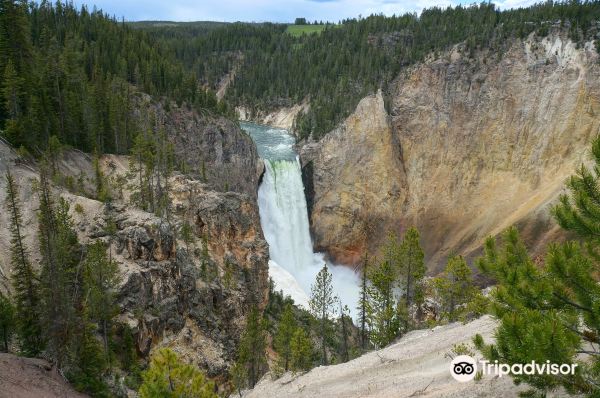 Upper Falls of the Yellowstone River