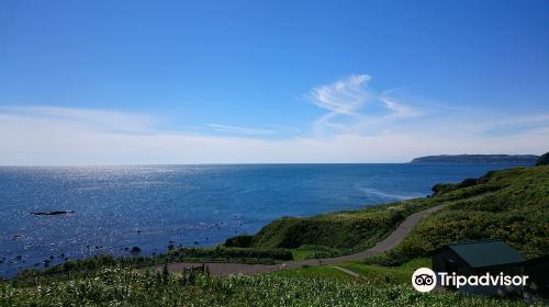 Yagishiri Island