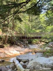 Forêt nationale de Green Mountain