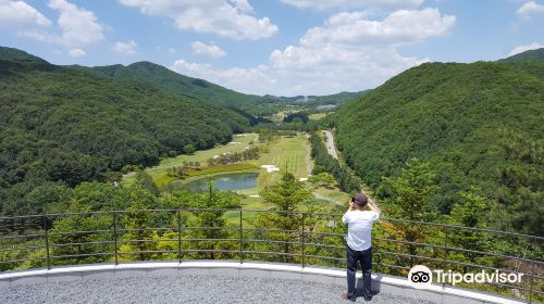 博物館山