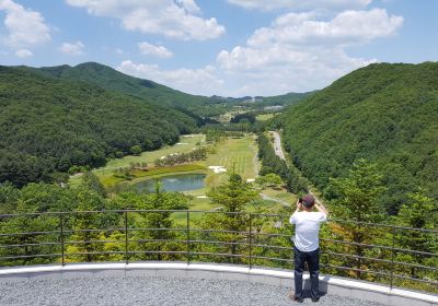 뮤지엄 산