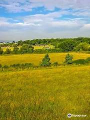 Worcester Woods Country Park