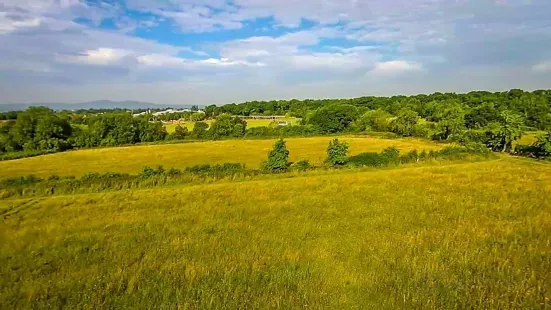 Worcester Woods Country Park