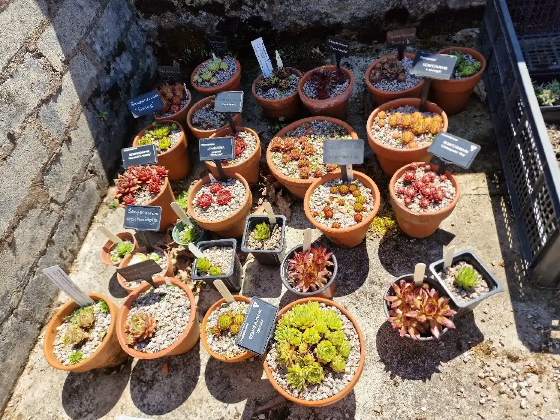 Hotels near Holehird Gardens