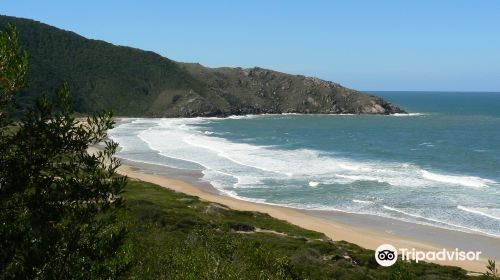 Lagoinha do Leste海灘