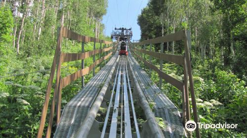 Park City Alpine Slide