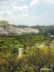 Yoshino Park kagoshima