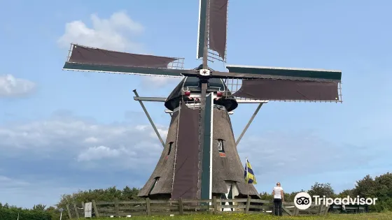 Korenmolen De Phenix